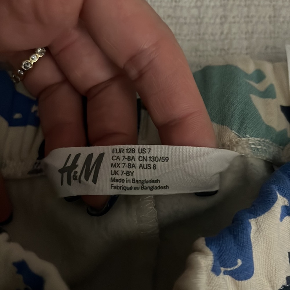 H&M Matching “Dino” Set - Picture 9 of 9